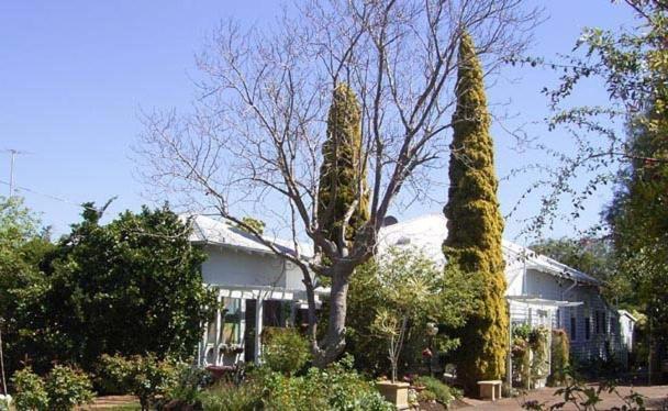 Jacaranda Guest House Busselton Eksteriør bilde