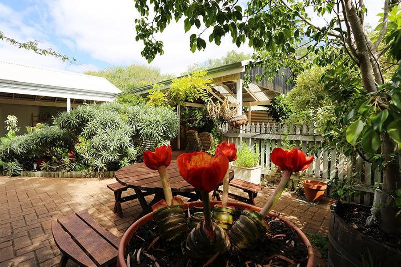 Jacaranda Guest House Busselton Eksteriør bilde